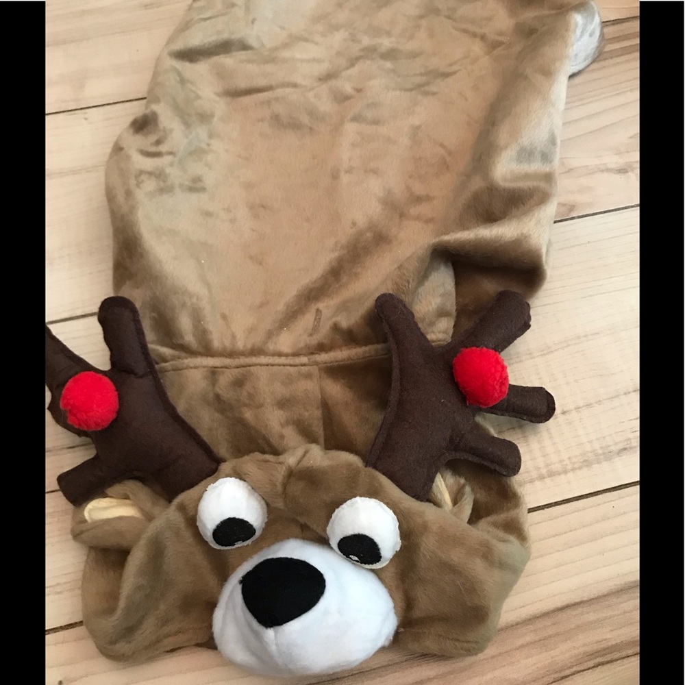 Michael’s Reindeer Pet Costume